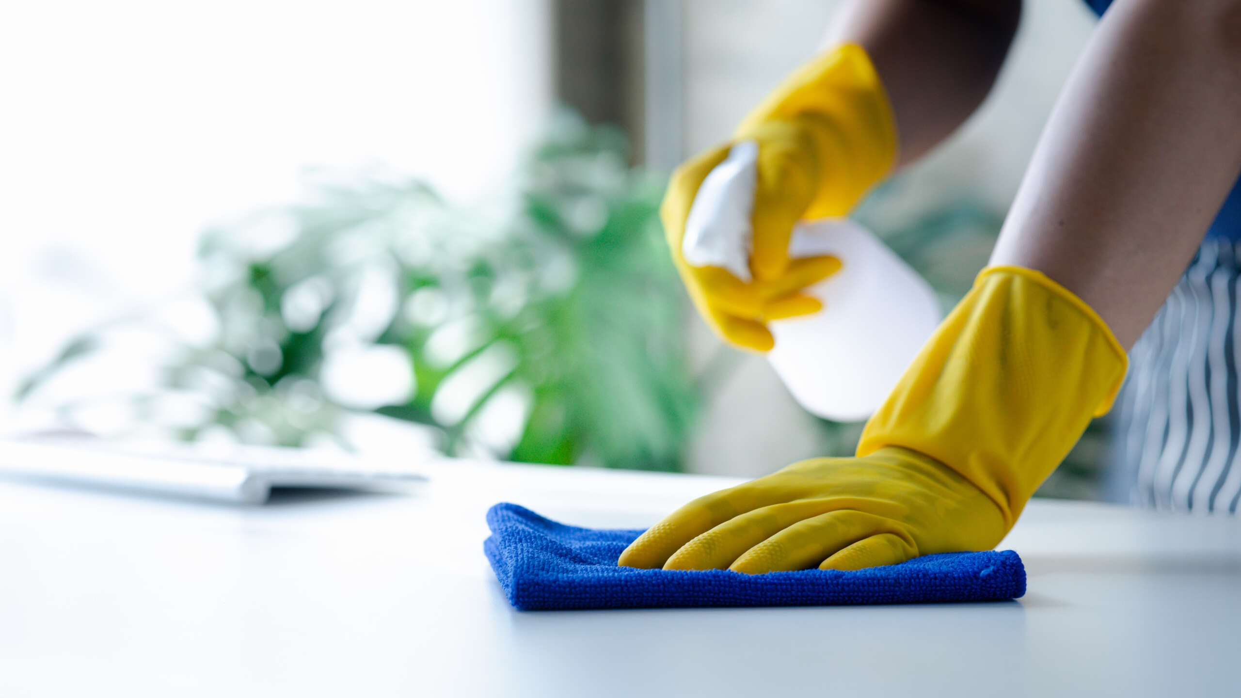 How to Start a Cleaning Business: An image of a person wiping off a desk.